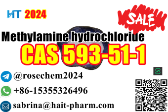 Bestselling in Europe and America 8615355326496 Methylamine hydrochloride cas 593511